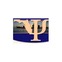 logo 1733